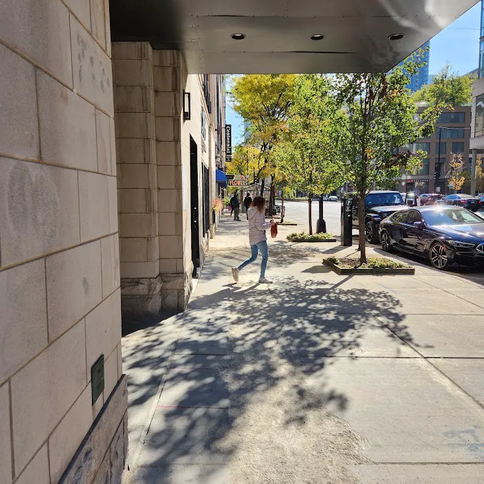 ChiroMedica Picture 1