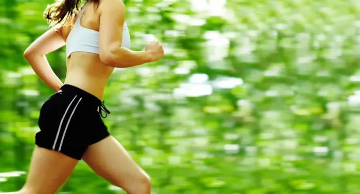 ChiroMedica Picture 5