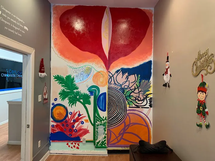 CarLouis Chiropractic Chicago Picture 10