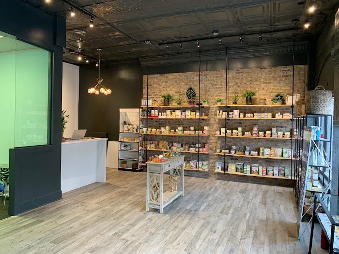 CarLouis Chiropractic Chicago Picture 2