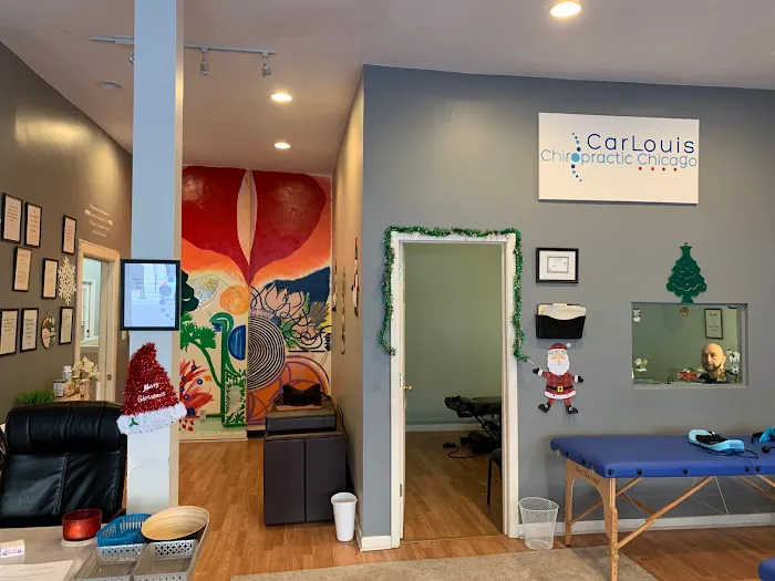 CarLouis Chiropractic Chicago Picture 9