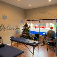 CarLouis Chiropractic Chicago ico