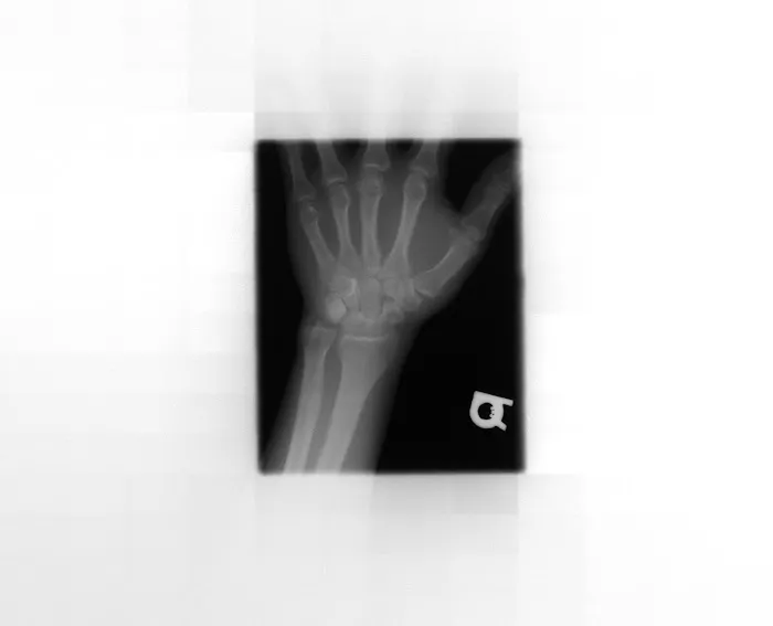 Cermak Chiropractic Clinic Picture 1