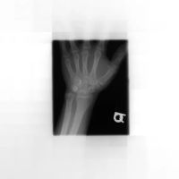 Cermak Chiropractic Clinic ico