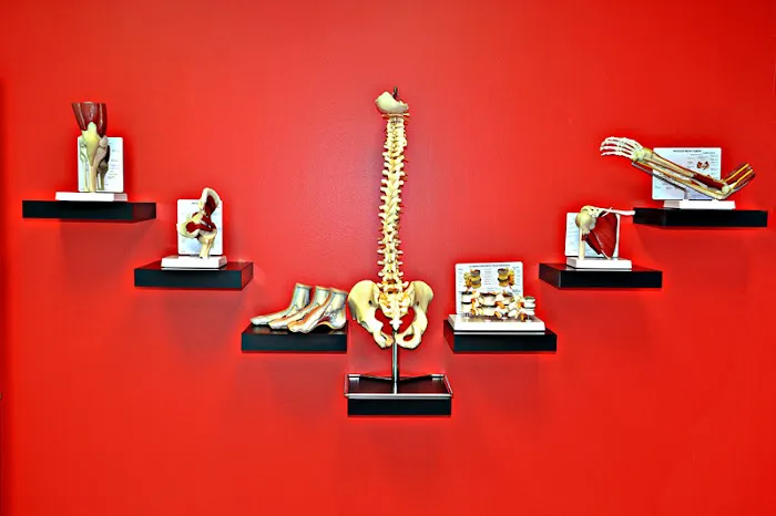 Gold Coast Wellness Picture 5