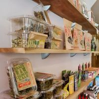 Element Wellness ico