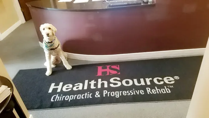 HealthSource Chiropractic of Chicago Wicker Park Picture 7