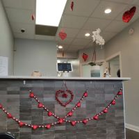 Cicero Chiropractic ico