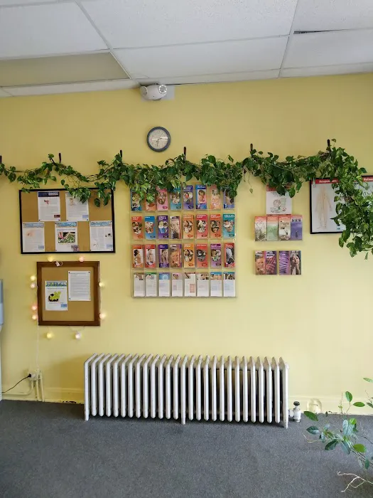 Dr. Bruce Rachum Picture 7