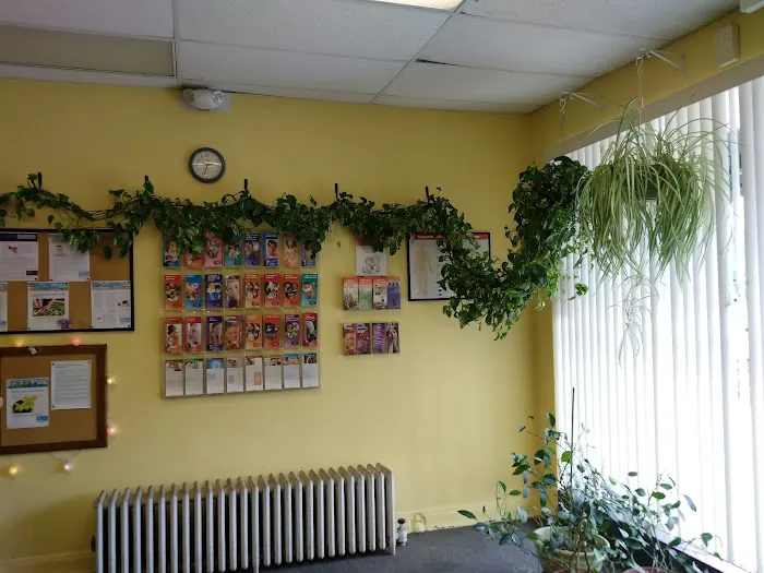 Dr. Bruce Rachum Picture 5