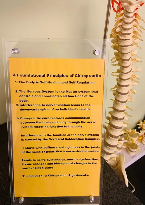 Excellence Chiropractic Picture 6