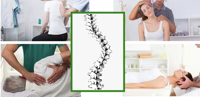 Excellence Chiropractic Picture 3