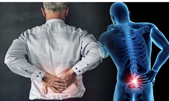 Excellence Chiropractic Picture 8