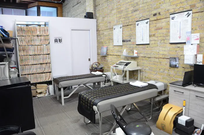 Chiropractic Chicago - Dr. Elissa J Grossman Picture 8