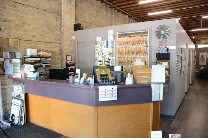 Chiropractic Chicago - Dr. Elissa J Grossman Picture 7