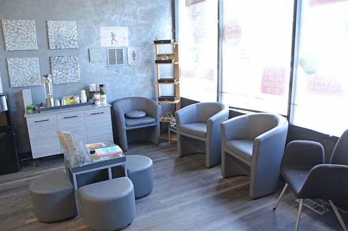 Chiropractic Chicago - Dr. Elissa J Grossman Picture 5