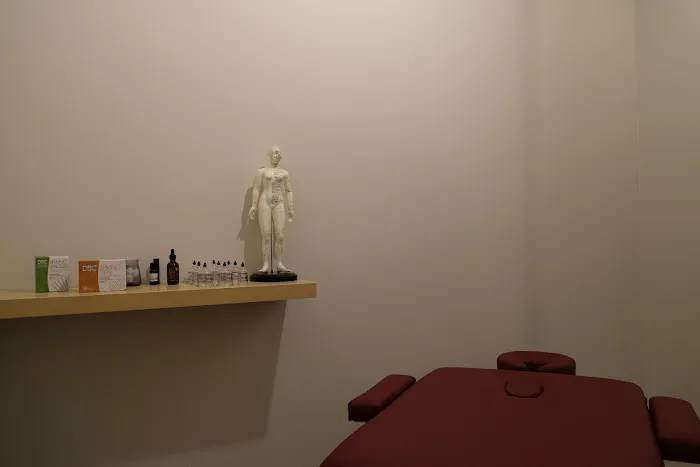 Chicago Conservative Care, Inc Picture 8