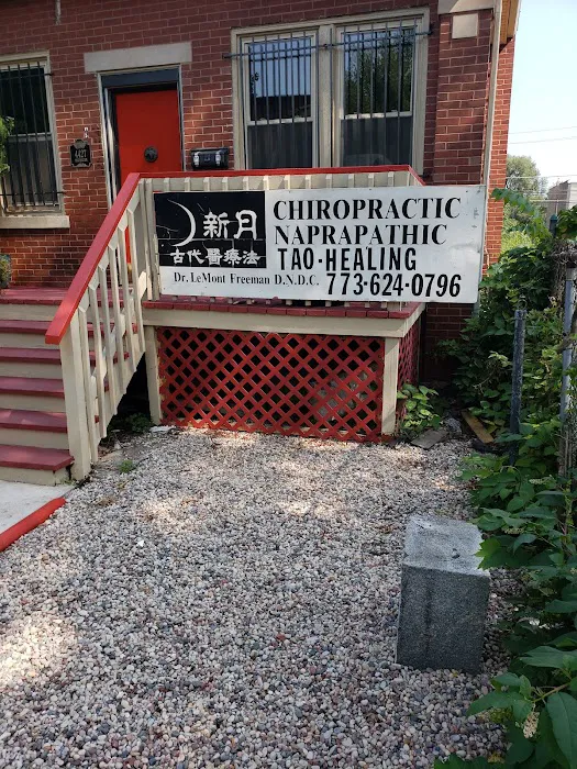 New Moon Ancient Healing Picture 5