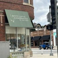 White Lotus Chiropractic of Oak Park ico