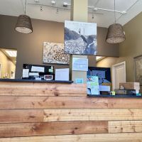 Davis Chiropractic ico