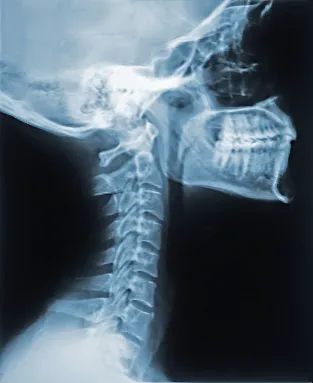 Archer Chiropractic Clinic Picture 4