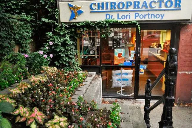 Dr. Lori Portnoy, DC Picture 8