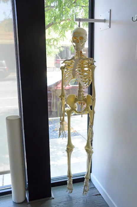 Bucktown Chiropractic Health Picture 7