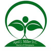 Evergreen Park Spine & Injury Center PC ico