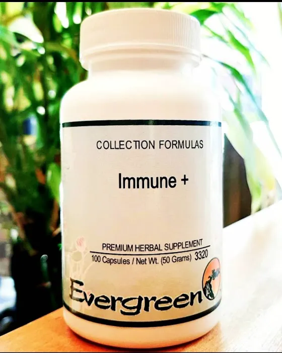 Natural Chiropractic Solutions Picture 3