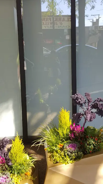 Lincoln Park Health Care Center Picture 2