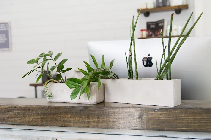 Chicago Spine and Sports Picture 9