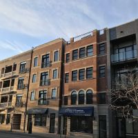 Elite Healthcare ico