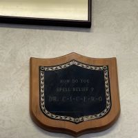 Chicago Neck & Back Institute ico