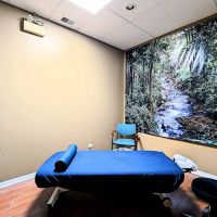 Northwest Chiropractix ico