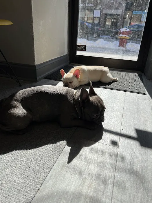 Ross Sports Chiropractic Picture 2