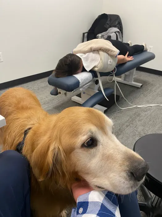 Midtown Chiropractic & Physical Therapy Picture 4