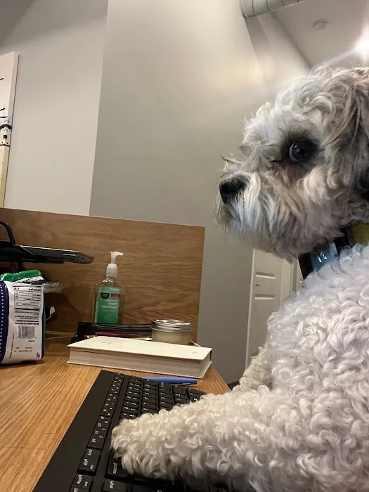 Midtown Chiropractic & Physical Therapy Picture 6