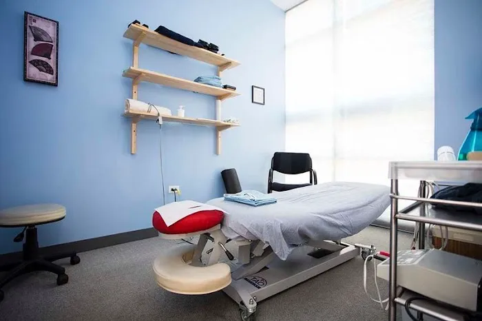The Chicago Body Works: A Chiropractic & Massage Spa Picture 4