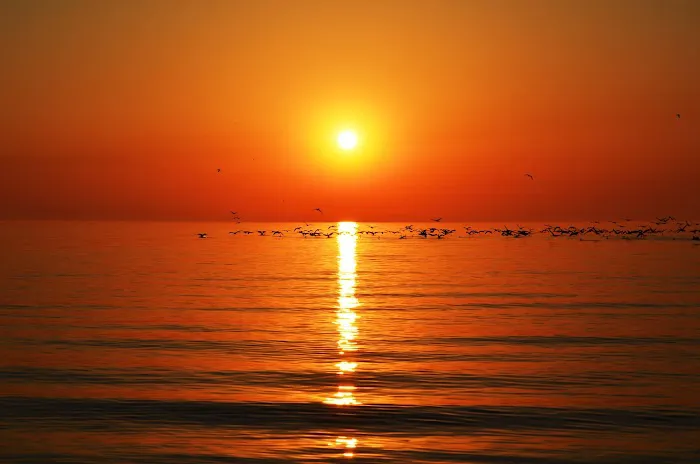 Applied Wellness Clinic, Nick C. Mallios, DC Picture 1