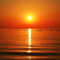 Applied Wellness Clinic, Nick C. Mallios, DC ico