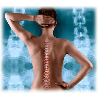 Lansing Chiropractic Clinic: Dr. Timothy Durnin Picture 4