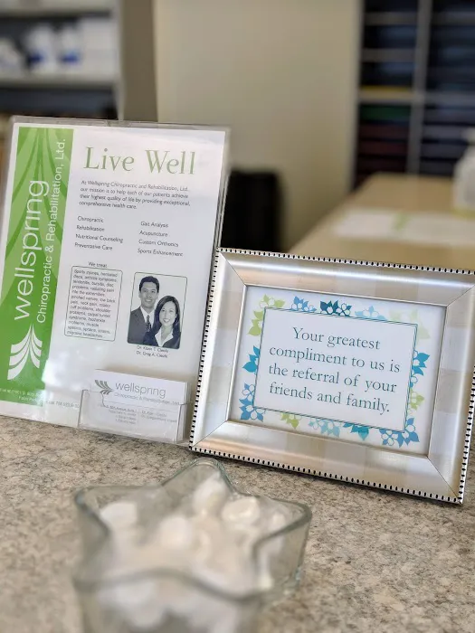 Wellspring Chiropractic & Rehabilitation, Ltd. Picture 4