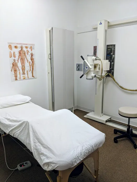 Wellspring Chiropractic & Rehabilitation, Ltd. Picture 3