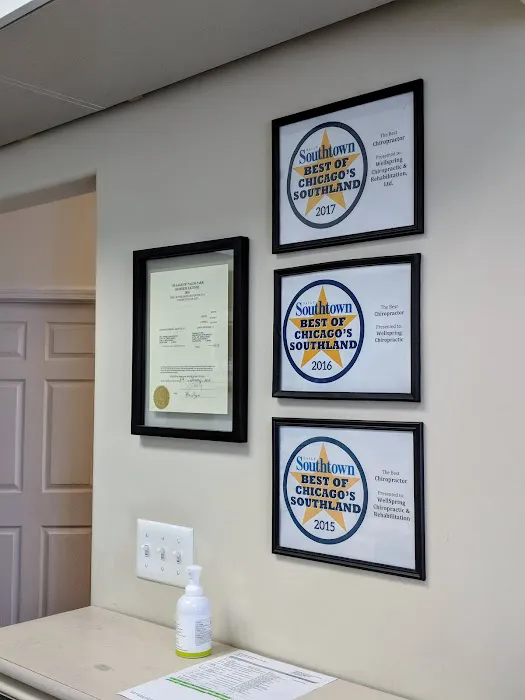 Wellspring Chiropractic & Rehabilitation, Ltd. Picture 1