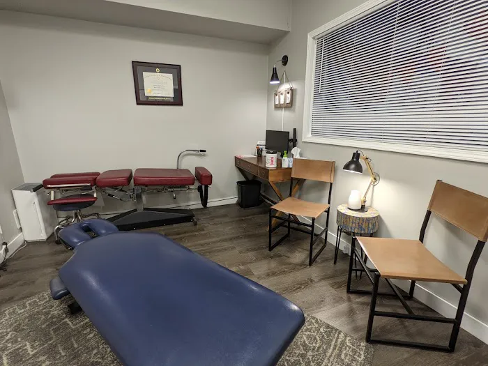 Fino Family Chiropractic & Wellness Picture 7