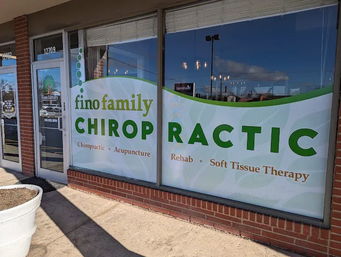 Fino Family Chiropractic & Wellness Picture 8