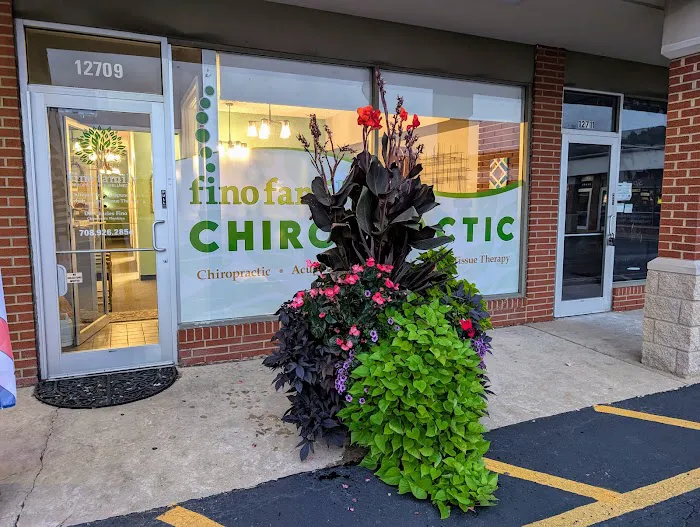 Fino Family Chiropractic & Wellness Picture 4