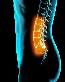 Munster Chiropractic Inc Picture 4