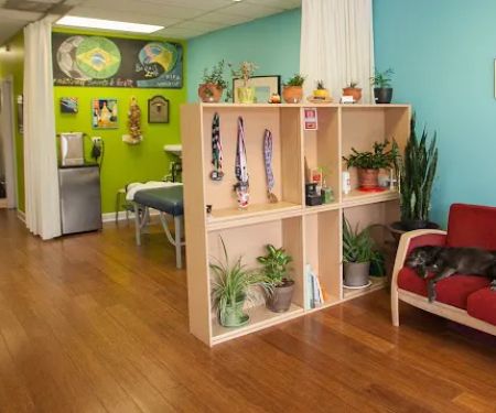 International Sports and Health Clinic