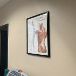 Dr. Rae M. Bouvin, DC - Pro-Holistic Care